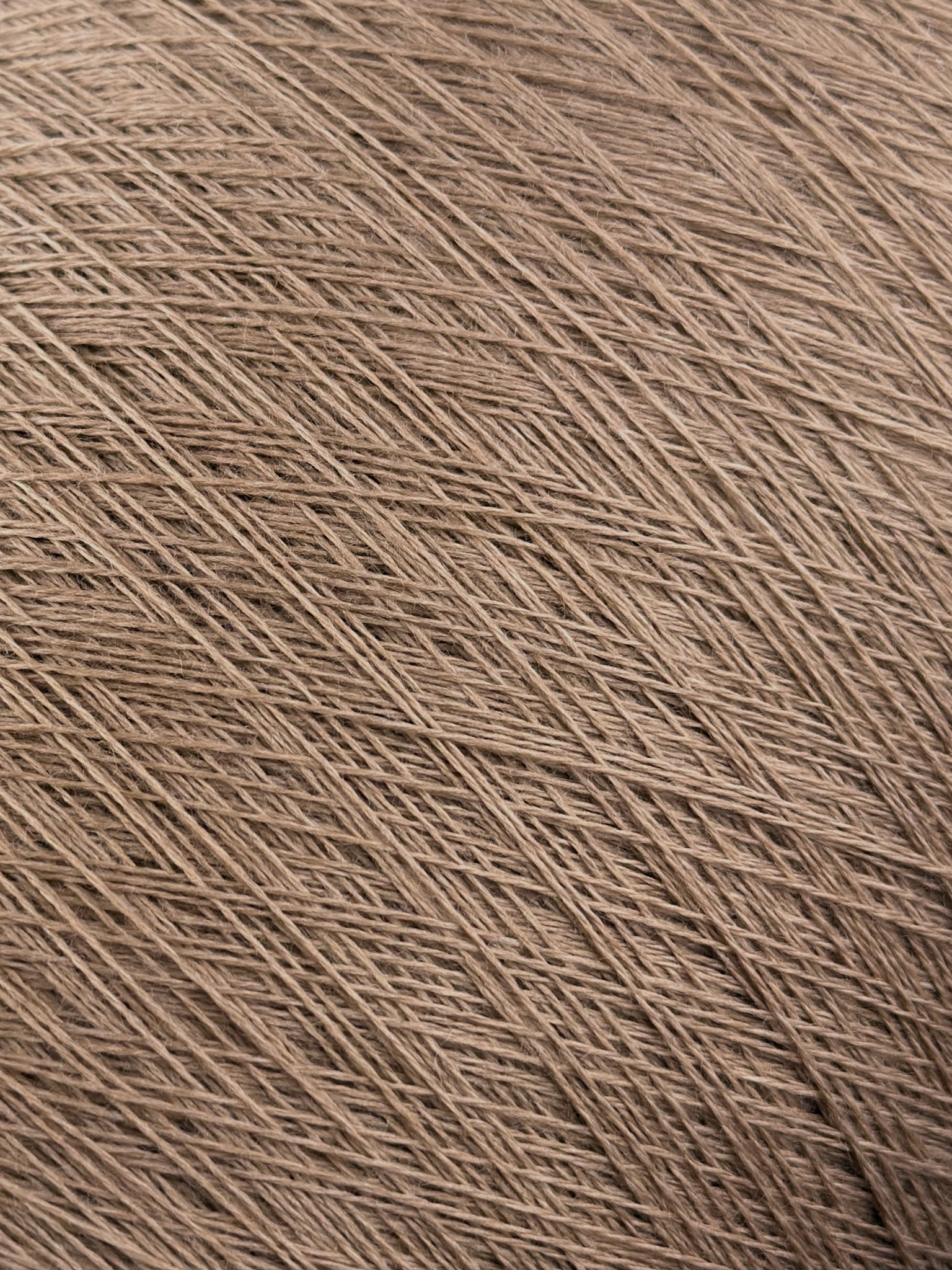 Tollegno 1900 Harmony Nm 2/30 – 100 % Merinowolle extrafein, col. Beige 52839